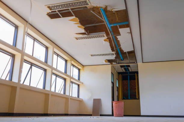 Best 24/7 water damage repair  in Grafton, WV