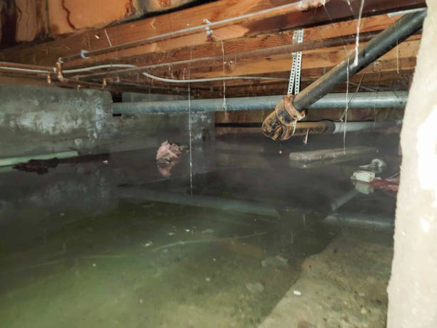 Reliable WV Water damage restoration Solutions