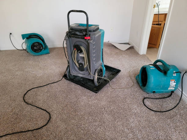 Best Local water damage restoration  in Grafton, WV