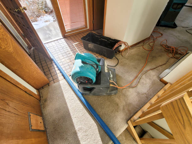 Best Emergency water extraction  in Grafton, WV