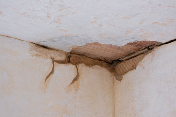 Best Residential water damage restoration  in Grafton, WV