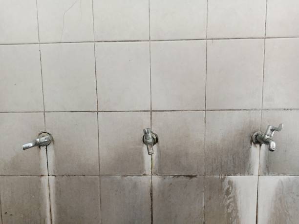 Best 24/7 water damage repair  in Grafton, WV