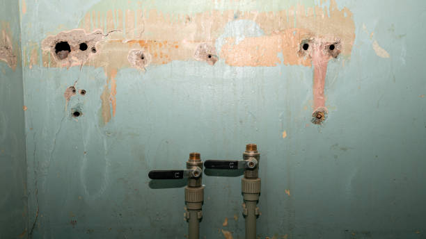 Best 24-hour water damage restoration  in Grafton, WV